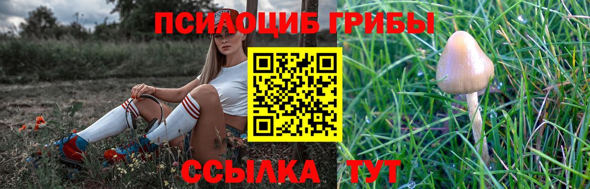 Псилоцибиновые грибы Psilocybine cubensis  Вход с VPN  как найти закладки  Галлюциногенные грибы Magic Shrooms  Белово 