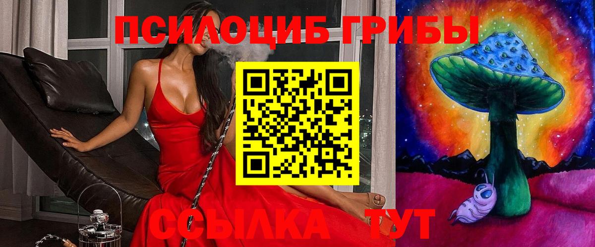 Галлюциногенные грибы Cubensis Белово