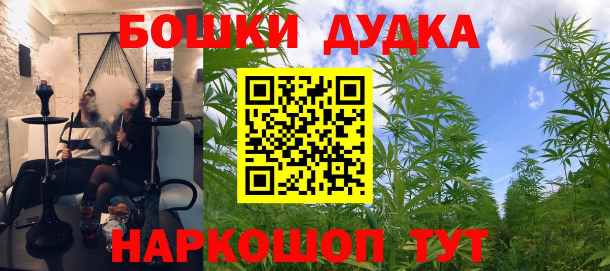 Бошки Шишки планчик Белово